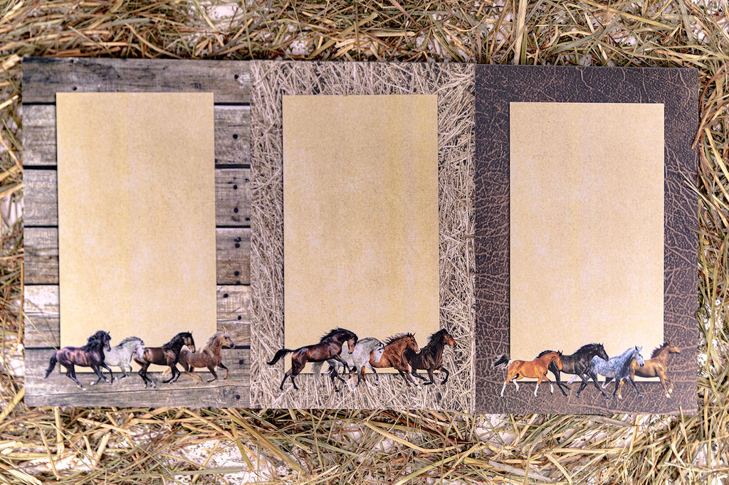 Horse Lover's Notepad/ Stationary Set Three 50 Sheet Pads