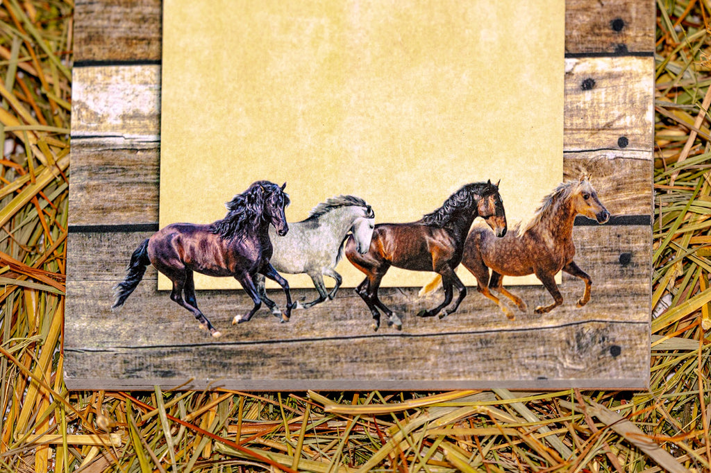Horse Lover's Notepad/ Stationary Set Three 50 Sheet Pads