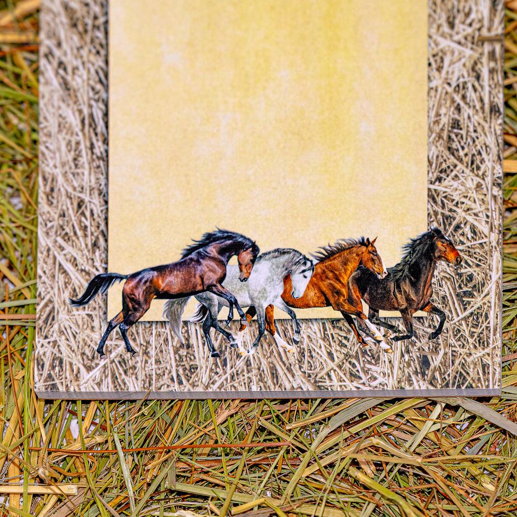 Horse Lover's Notepad/ Stationary Set Three 50 Sheet Pads