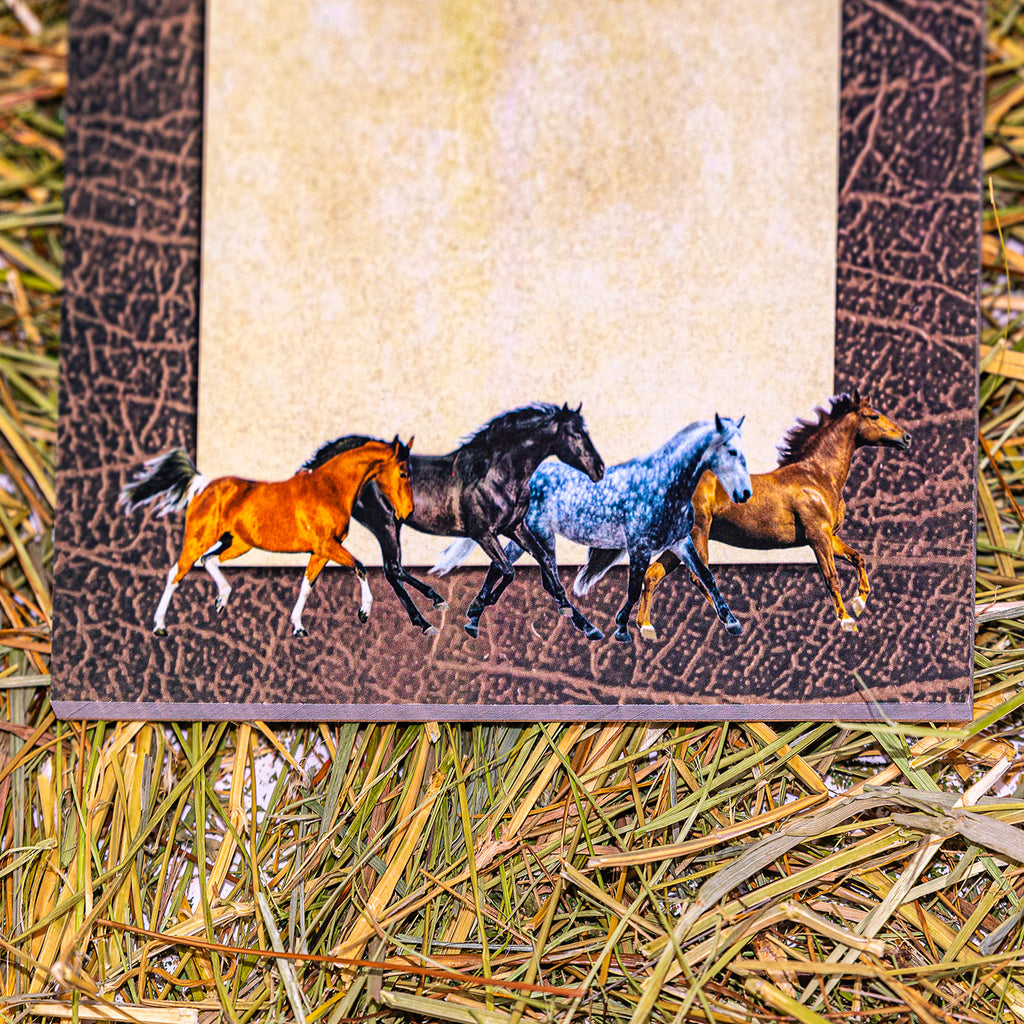Horse Lover's Notepad/ Stationary Set Three 50 Sheet Pads